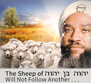 The Sheep of Yahweh Ben Yahweh Will Not Follow Another . . .